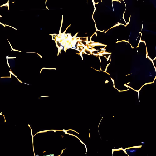 Item #38515723395715074936592332519846683354041814765322355432161968506589958635521 Media