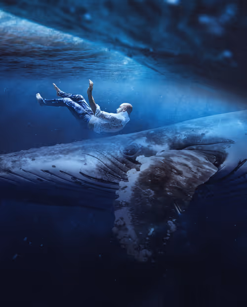 Item #5120042332681476466632520770121700592134821440612237730621647067323603877889 Media