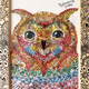 Animal SPECIAL Collection