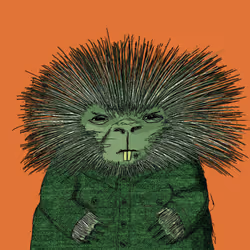 62613911586056240347546851974550079964524534582261086920828948529716511375361