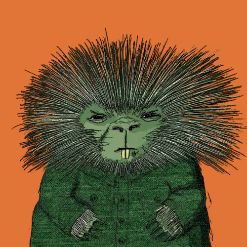 62613911586056240347546851974550079964524534582261086920828948529716511375361