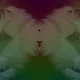 71855948861368315935117884060099194885085341910626672500222055215509381578753