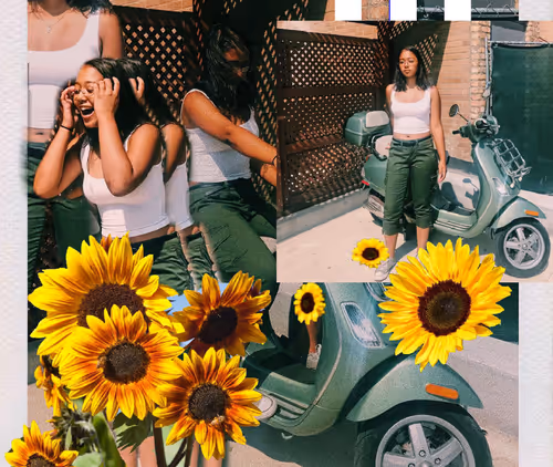 Item #46596560307823432779543269629341643733212124731259803815140033199020150095873 Media