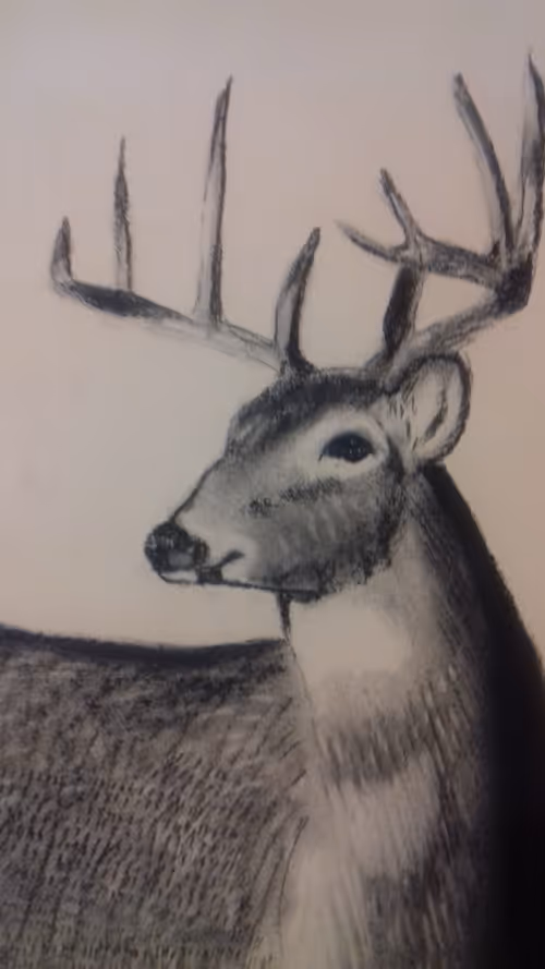 Item #99125017457638883826248316296505876439245924875987117084464433447780631969793 Media