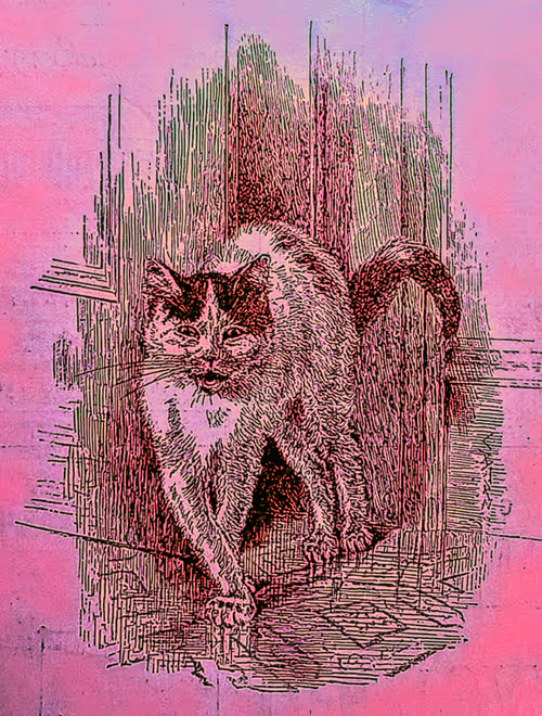 Item #35247308013863639916483757756408588227786114589757564733366544644108143558686 Media