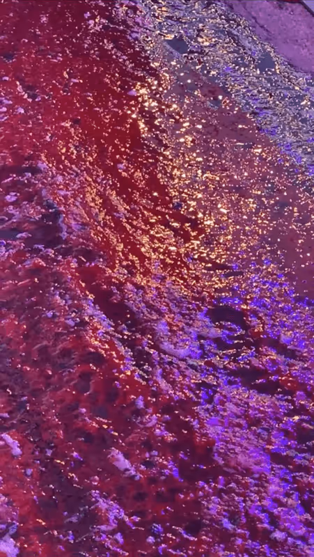 Item #62402000334580523921237358418718502457721815832787791947048085084789876457473 Media