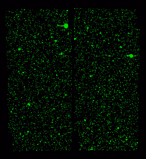 Item #47909880906427926582393588702999148676057580068129336828927827063038478909441 Media