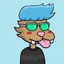 Bored Cats Club (FREE AIRDROP RAFFLE)