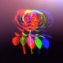 #110875252319654914495865258637379650189404025322474377905458215838532096753665