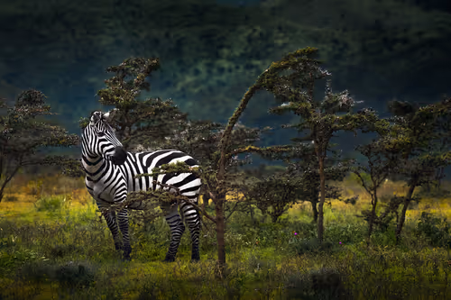 Item #46146454175190830687847236221543248864679735900060228179798027755009741946881 Media