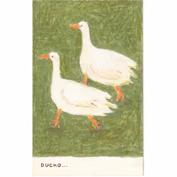 Ducko