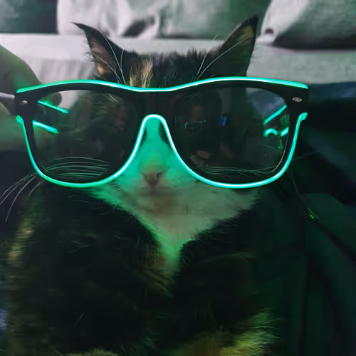 Untitled Collection #259789587