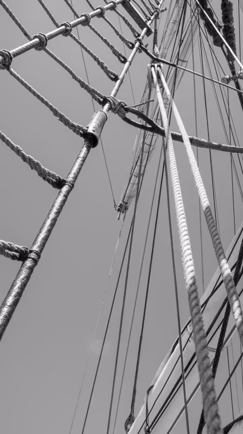 Item #34110083671509346653453586160941404072216291014688644284046702347201233813505 Media