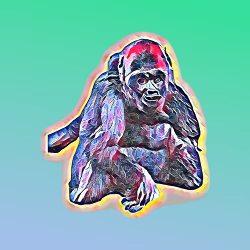 rhompa Collection - old - zDkmfKXncE