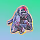 rhompa Collection - old - zDkmfKXncE