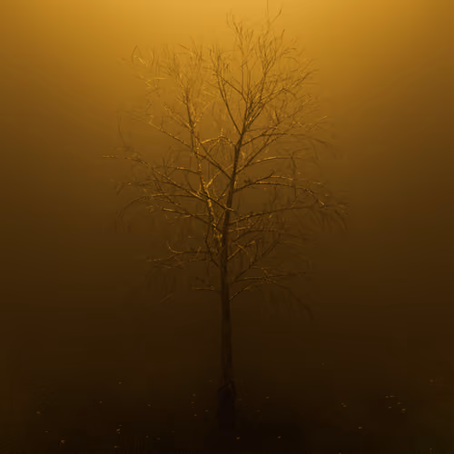 "The Darkest Hours Are Just Before Dawn"