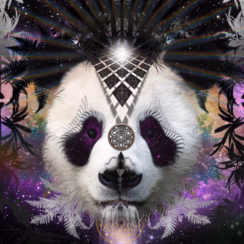Sacred Geometric Nature