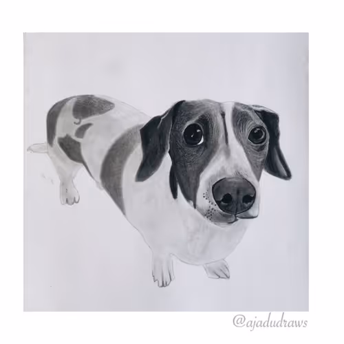 Item #60252950802118407468119049908594719643095991940499965350429669422987286151178 Media