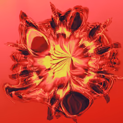 Dysmorphic Flora: Saturday morning 1/1