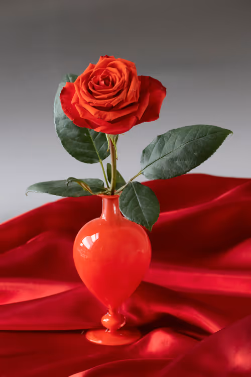 Item #89907656702044614453321074325488619524252991044225286845467716437838315651197 Media