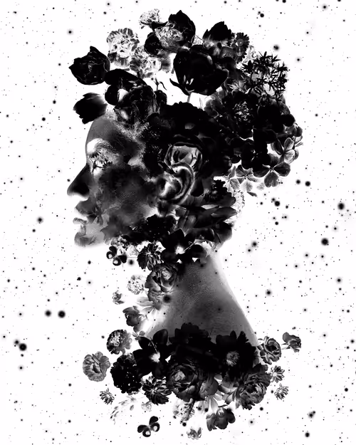 Item #114326855260130091769496603532190643749551084567769454944154782504679519551518 Media