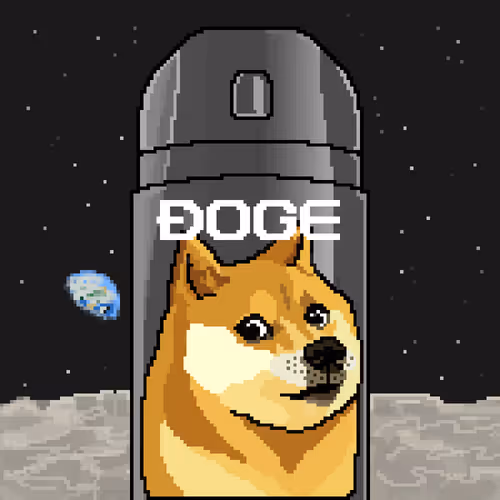 Dogepunks #125 - Dogecan