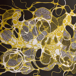 NEUROGRAPHIC 15
