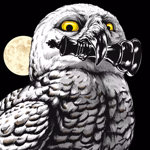 Item #96253313655138226705504031728746155625979506730368912420724373480734438981633 Media