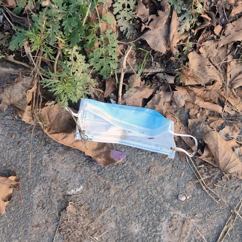 84285917725132974089305132725833135800452932529266957423738788467289075220481