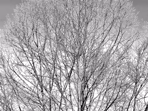 Item #13665938074563914331498291329920780757136253607588816979915017125479994884097 Media