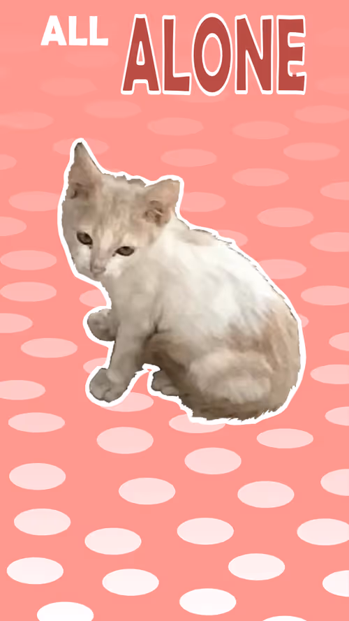 Item #39131870878443609504230106724730931861101567602754011991787220839461099143169 Media