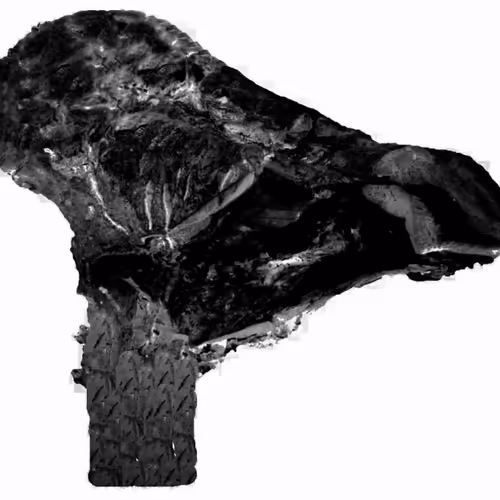 18063966590187803564983313972252836895288362682890717819958697124110603911169