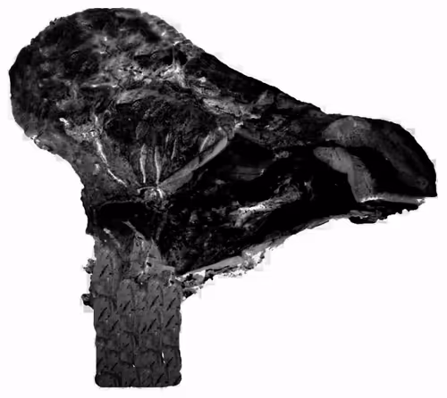 Item #18063966590187803564983313972252836895288362682890717819958697124110603911169 Media