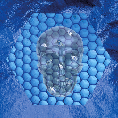 Item #98240601993675485984472209769470597995635738252390834860298305154730518642689 Media