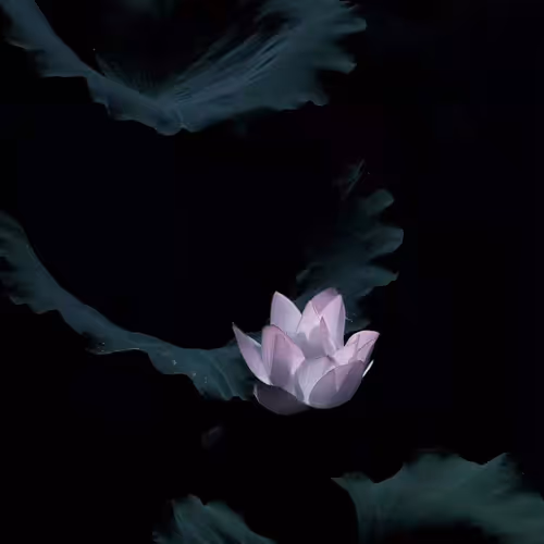 Untitled Collection #50888980