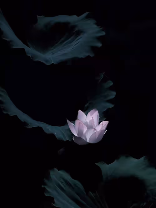 Item #94532817089786182025313285857973646469401622533335807700965274069078292561921 Media