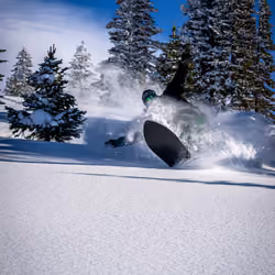 POW shred #6