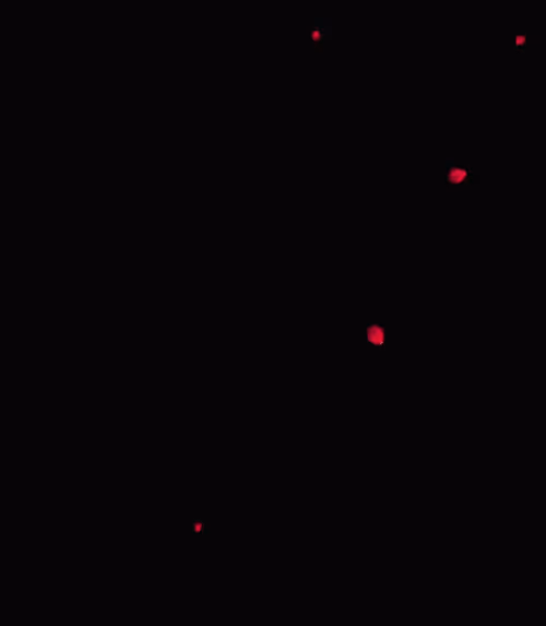 Item #10484220177787847593598212314025342284599195293512380793508438396026323206145 Media