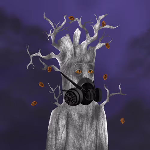 Item #38969088093190670381878411557565580659447067316565611691845277052879557885953 Media