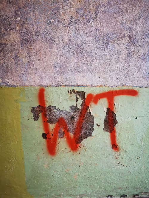 Item #104556018703380285594422033848577924912397703631022878616453807824478285070337 Media