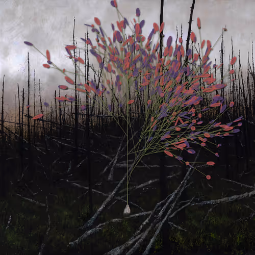 57009555572129949968037836061383916208458381598981093971084421894833533091841