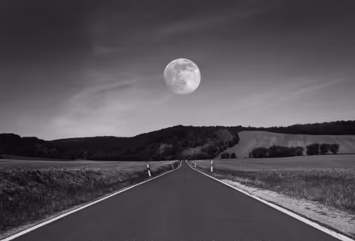 Item #40160686583094733528677484039903516258611509642019211679321071527638933176321 Media