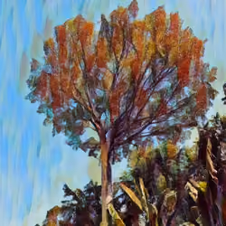 tree x