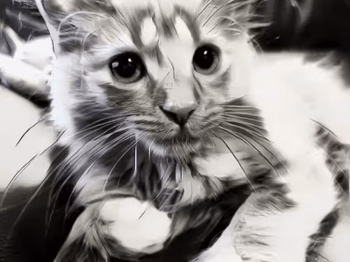 Item #70677597916389332091875359855925065117436584504780574341127713068674906587137 Media