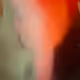 33649386056655743972853882304162879847904995105601930131822064050614535454721