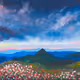 Flowers on Mountain 