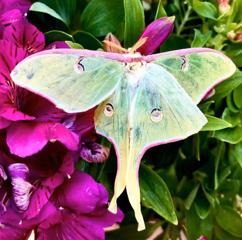 Item #90242850713282573943473333333408540290237184150123135597774242568271852208129 Media