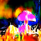 Mushroom #107