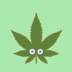 Bubba Kush 10