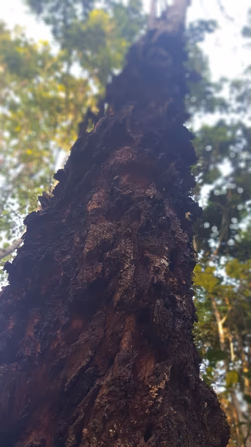 Item #113362109709365944141137886500163150931447814244950449187042120711737765265409 Media